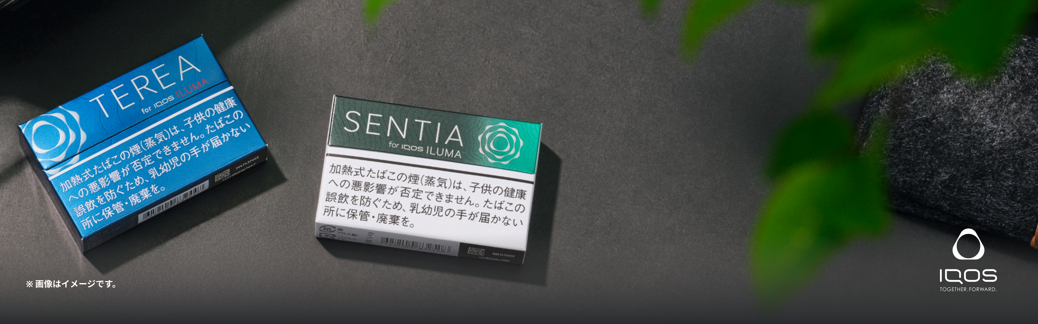 IQOS イルマ i / IQOS イルマ専用たばこスティック TEREA（テリア）と