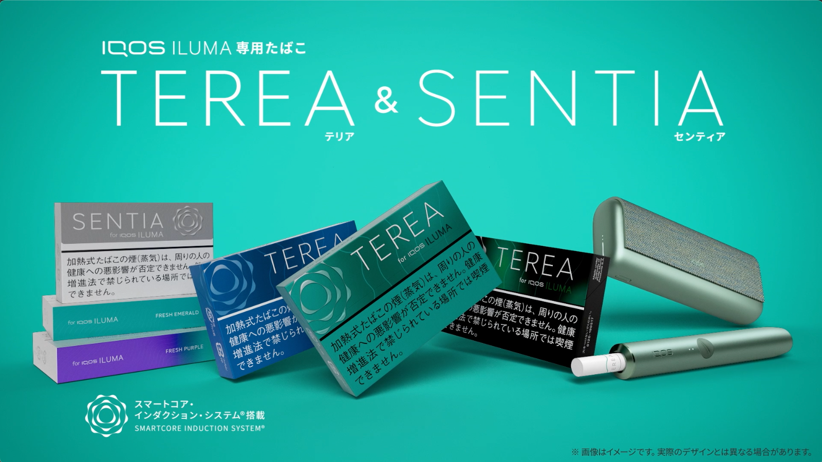 ILUMA tobacco - Terea & Sentia