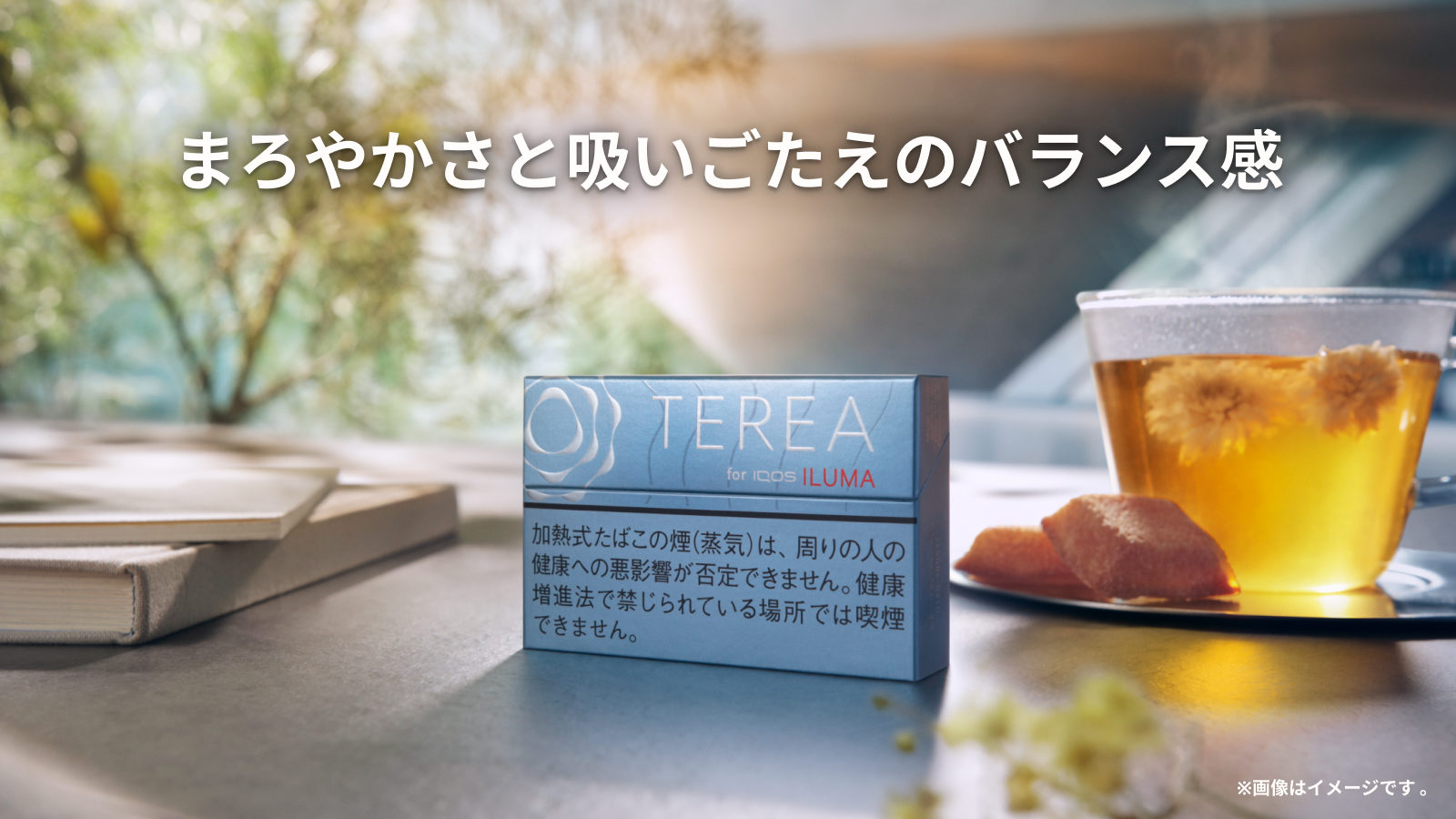 テリア バランスド レギュラー