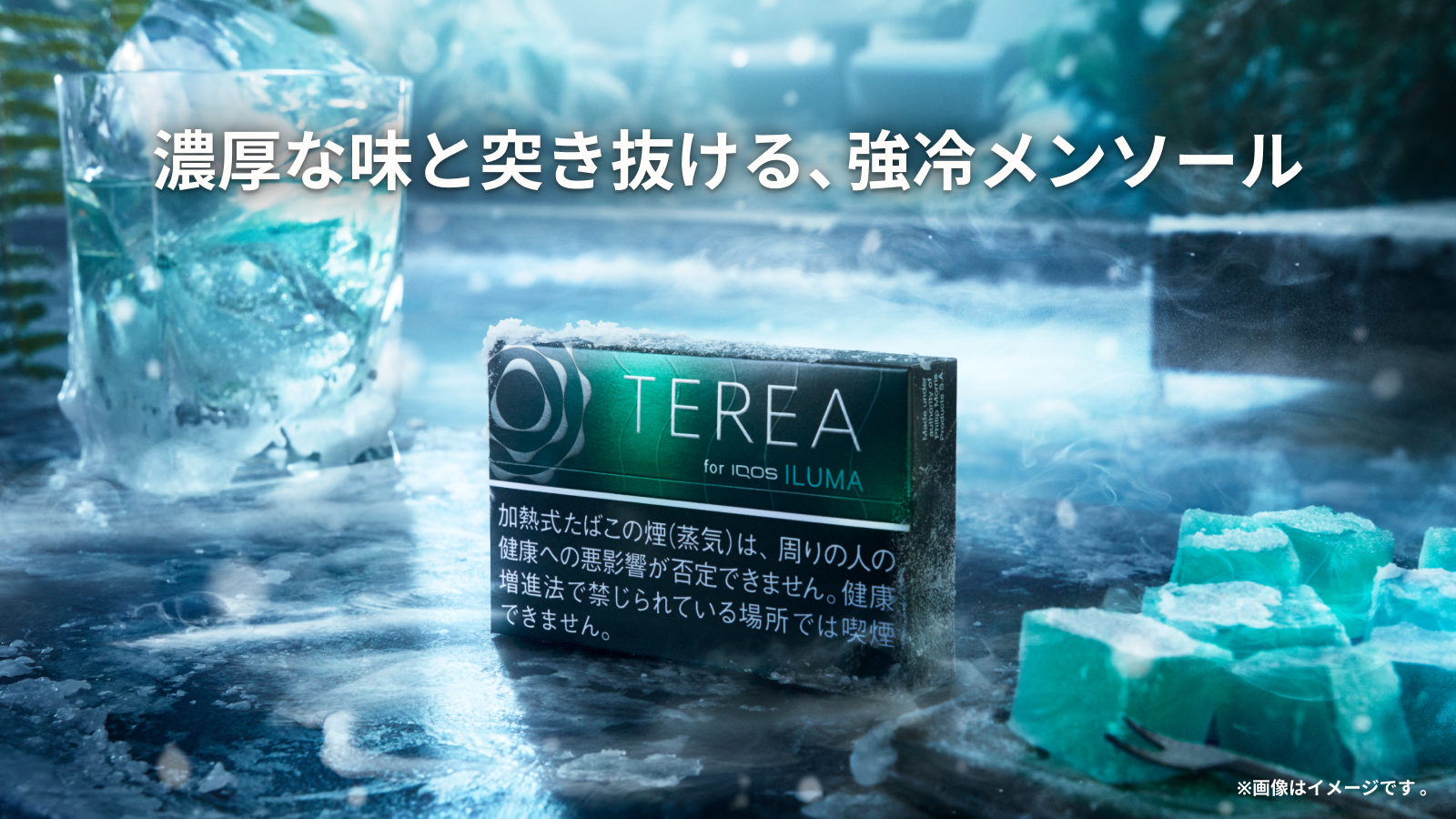 テリア ブラック メンソール