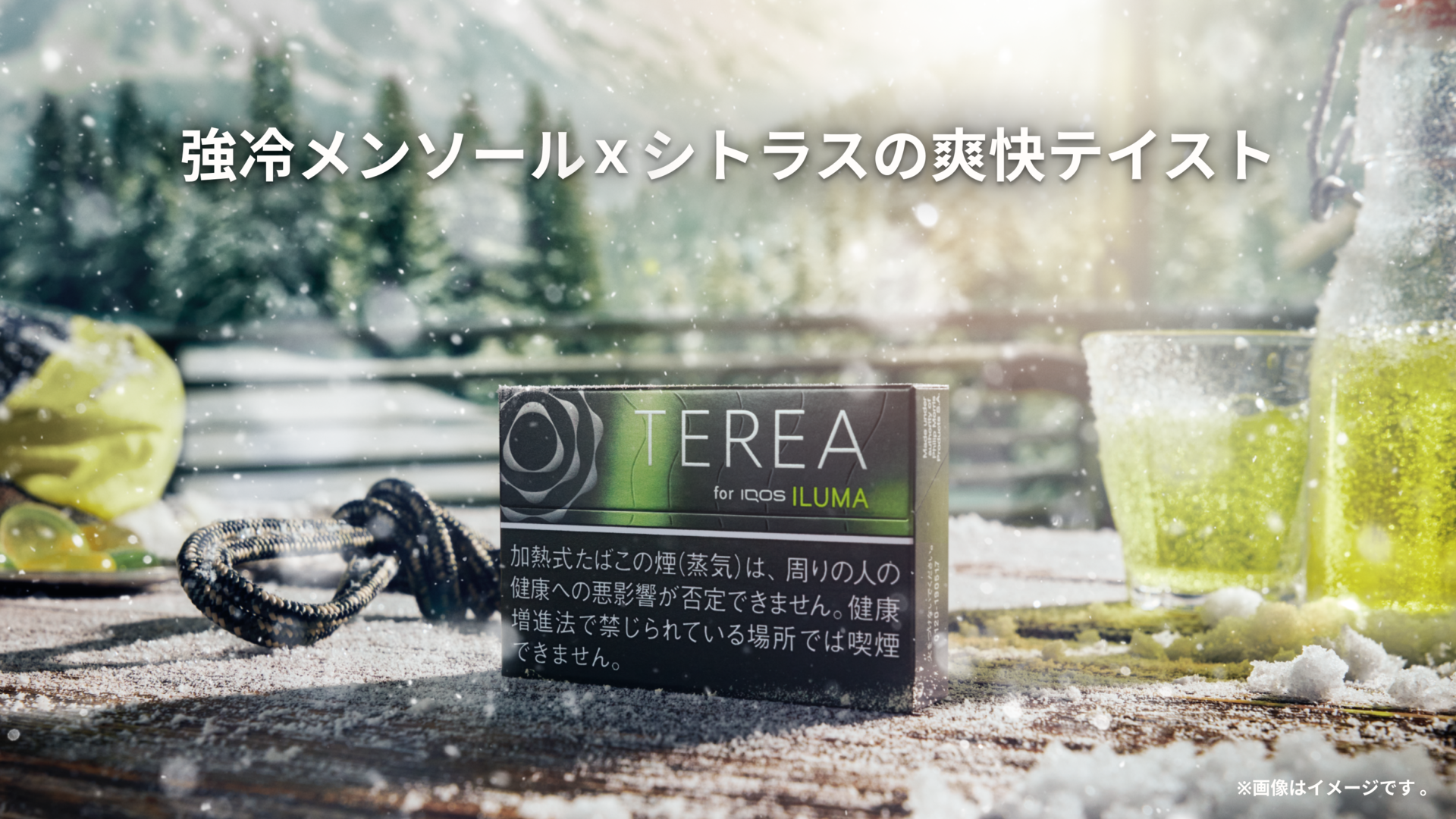 テリア ブラック イエロー メンソール