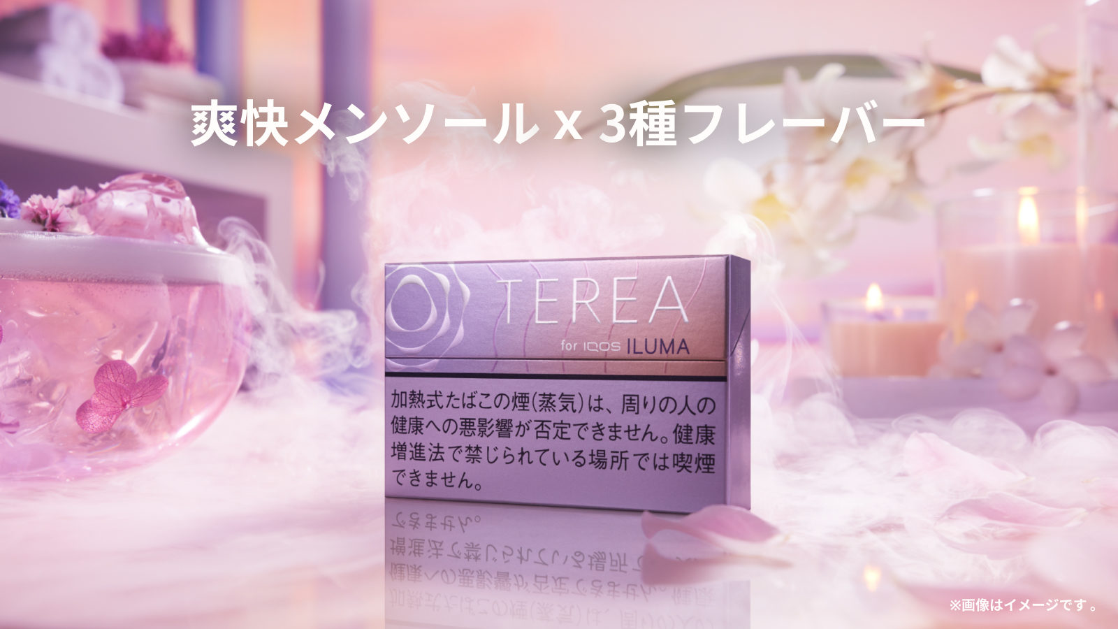 テリア フュージョン メンソール