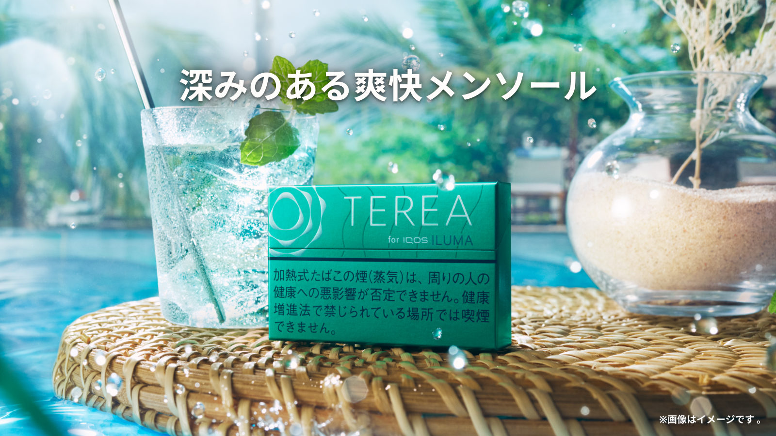 テリア メンソール