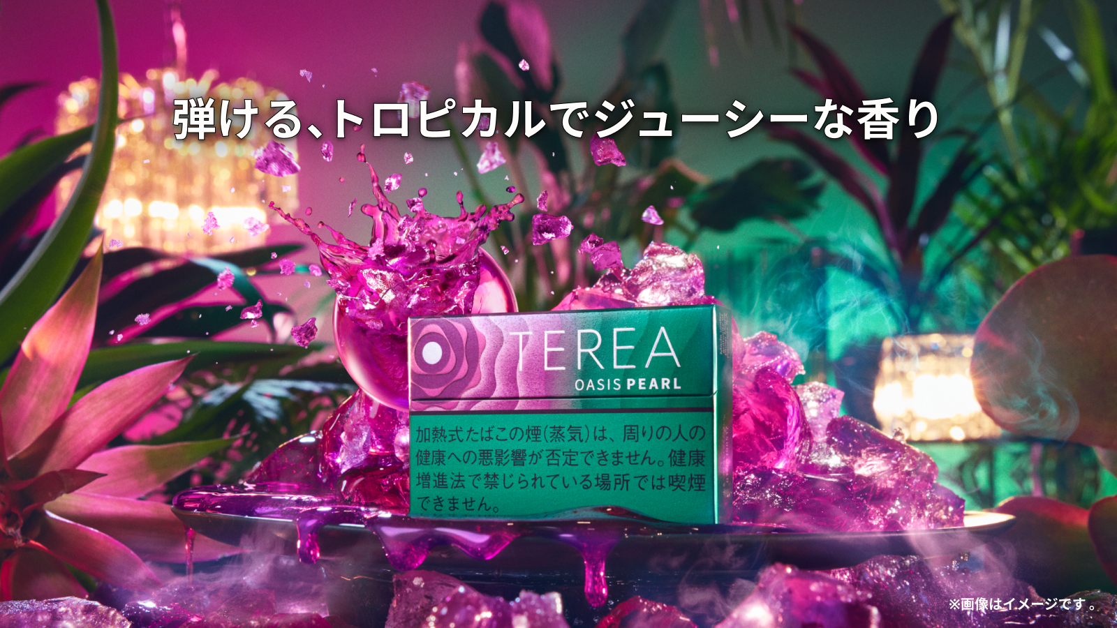 テリア オアシス パール