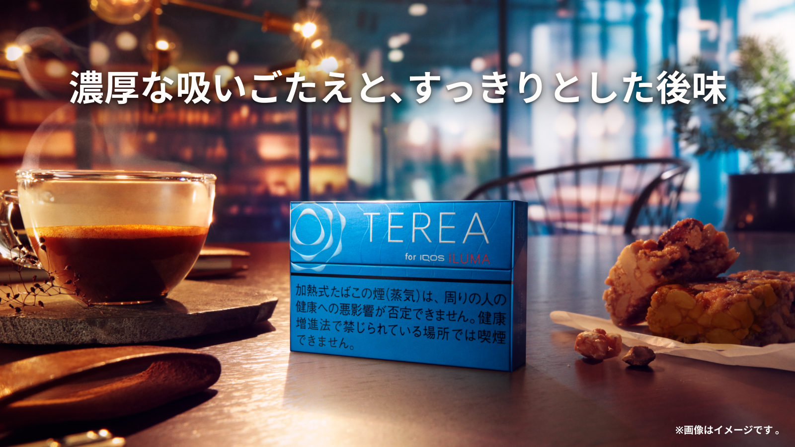 テリア レギュラー