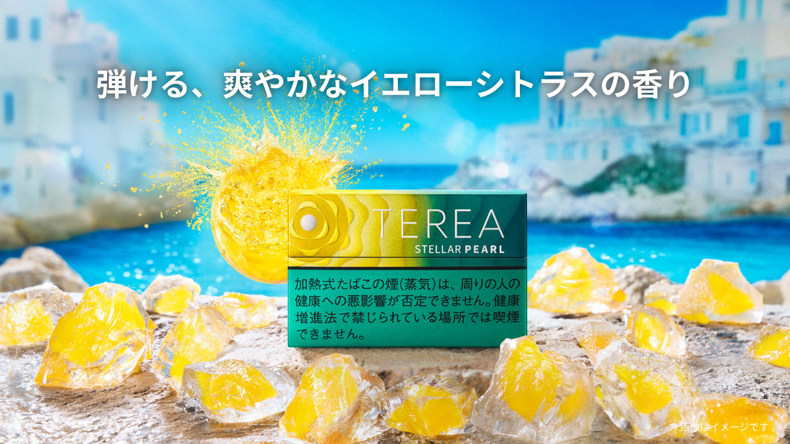 テリア ステラー パール