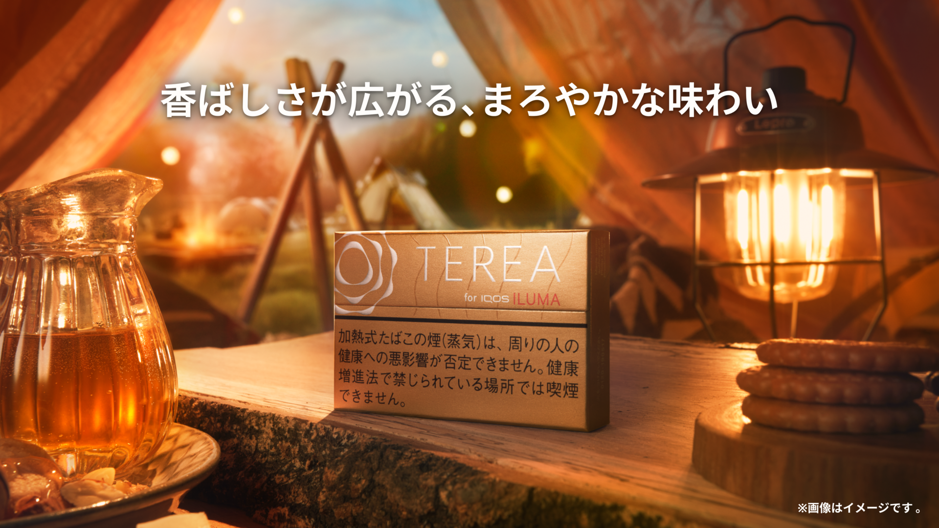 テリア ウォーム レギュラー