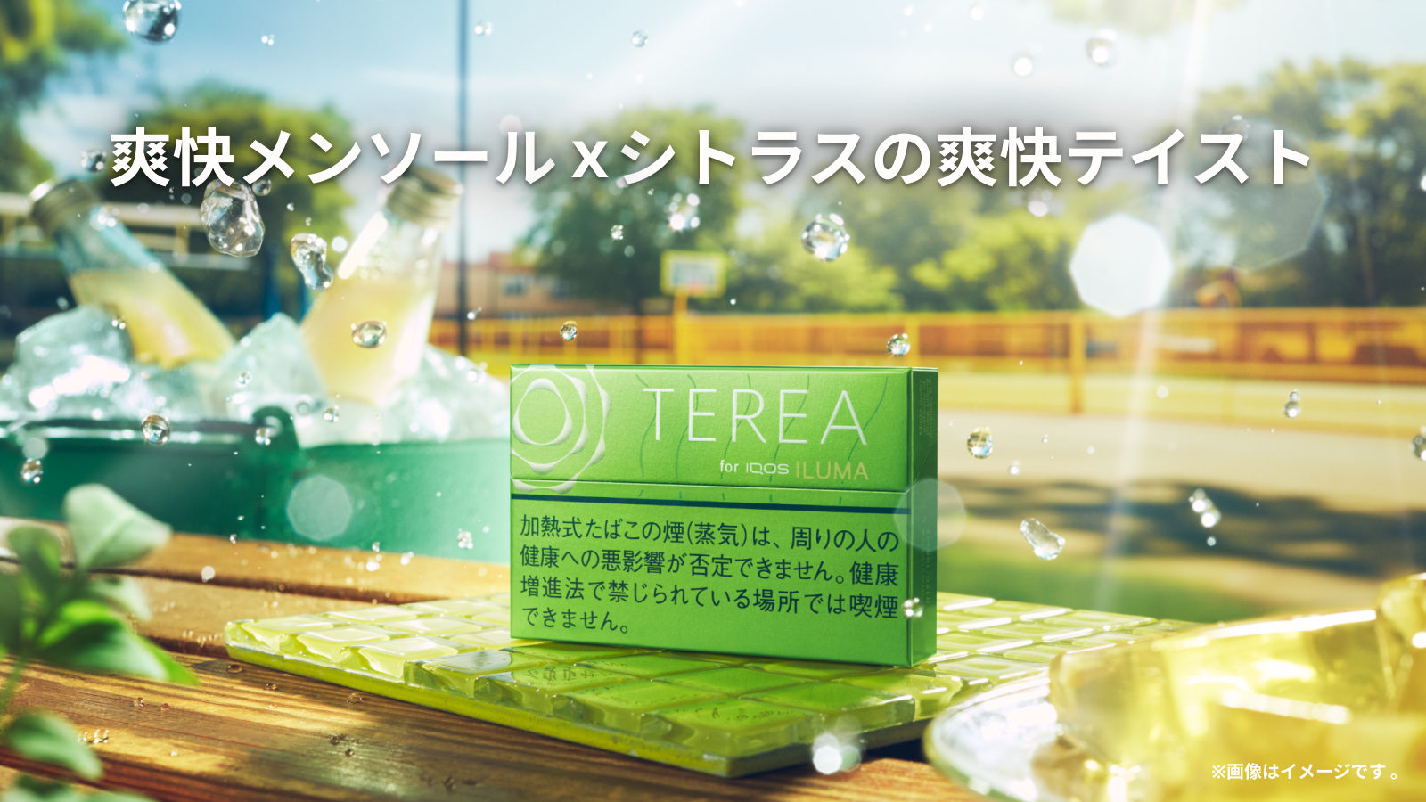テリア イエロー メンソール