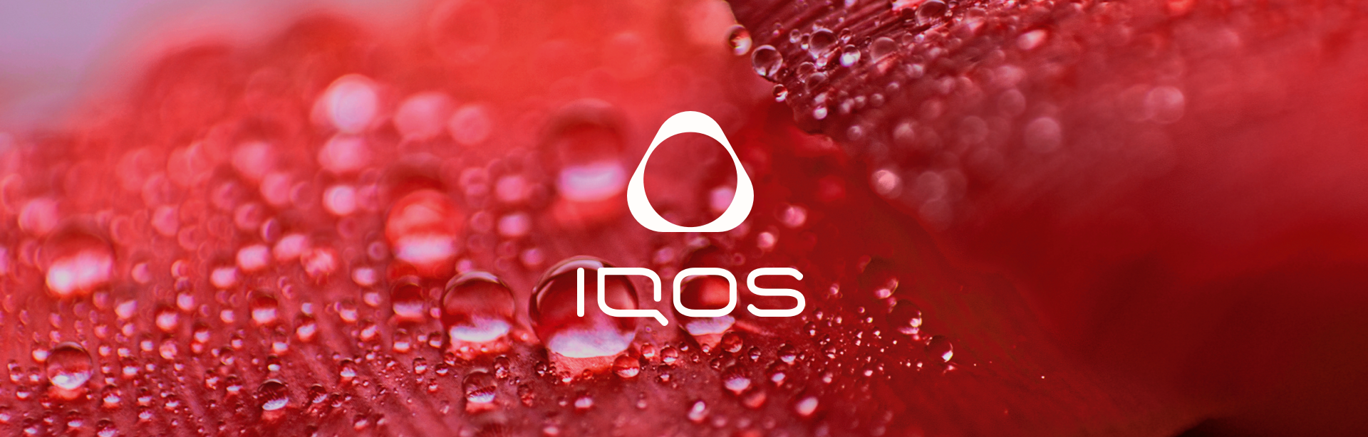 IQOS イルマ専用たばこの新ブランドの全国販売が開始