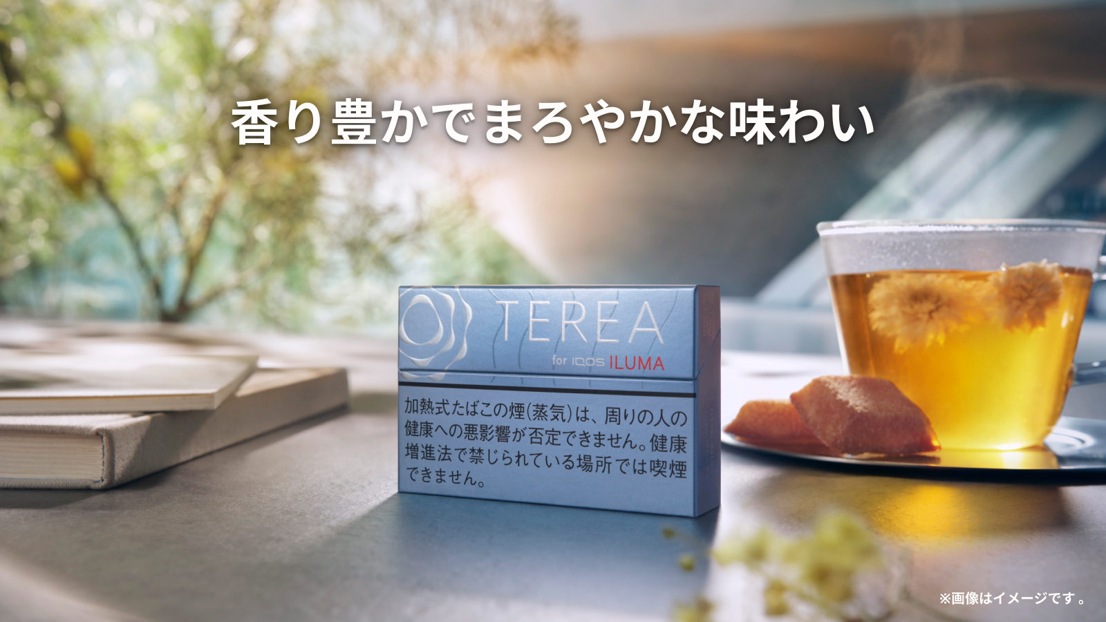 テリア バランスド レギュラー