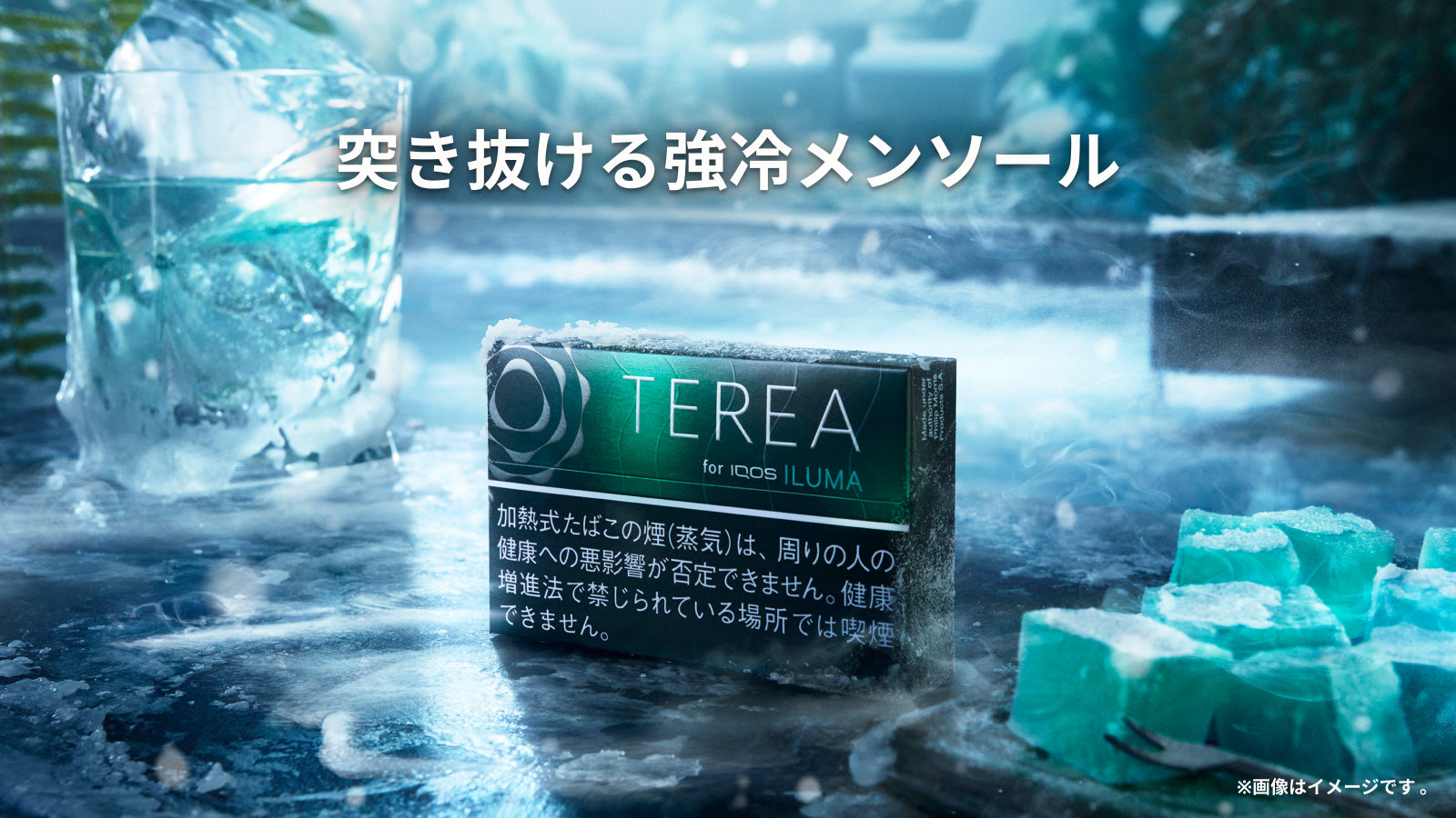 テリア ブラック メンソール