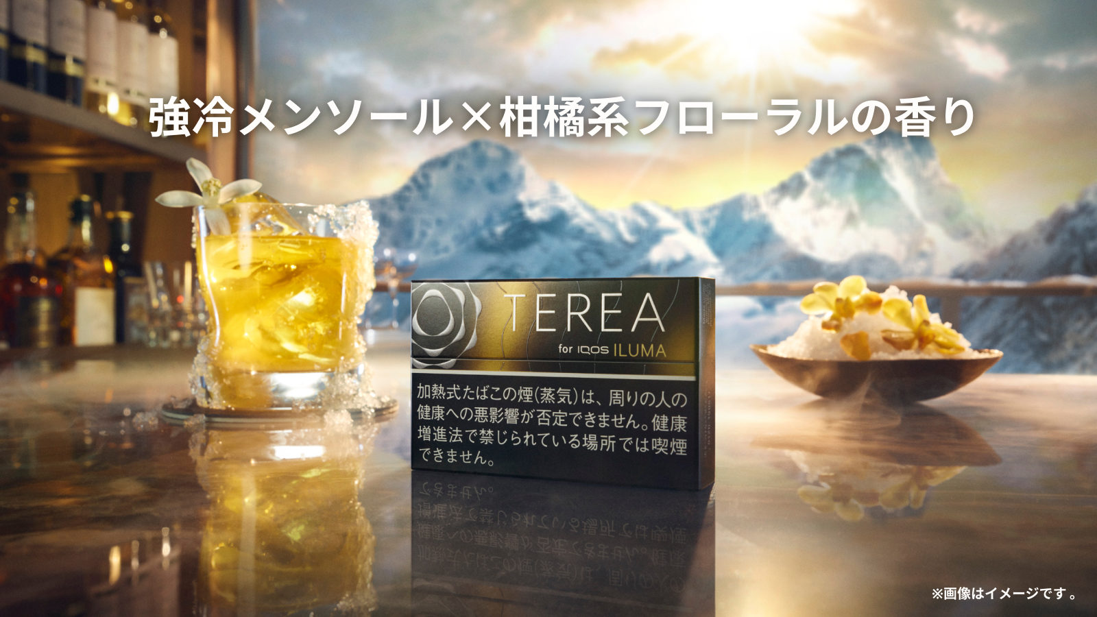 テリア ブラック  サンシャイン メンソール