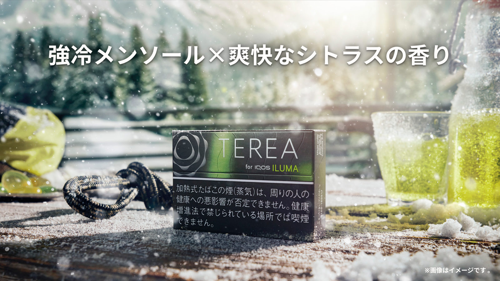 テリア ブラック イエロー メンソール