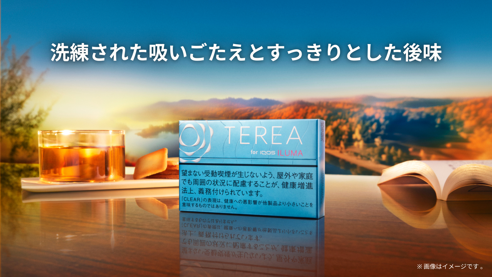 テリア クリア レギュラー