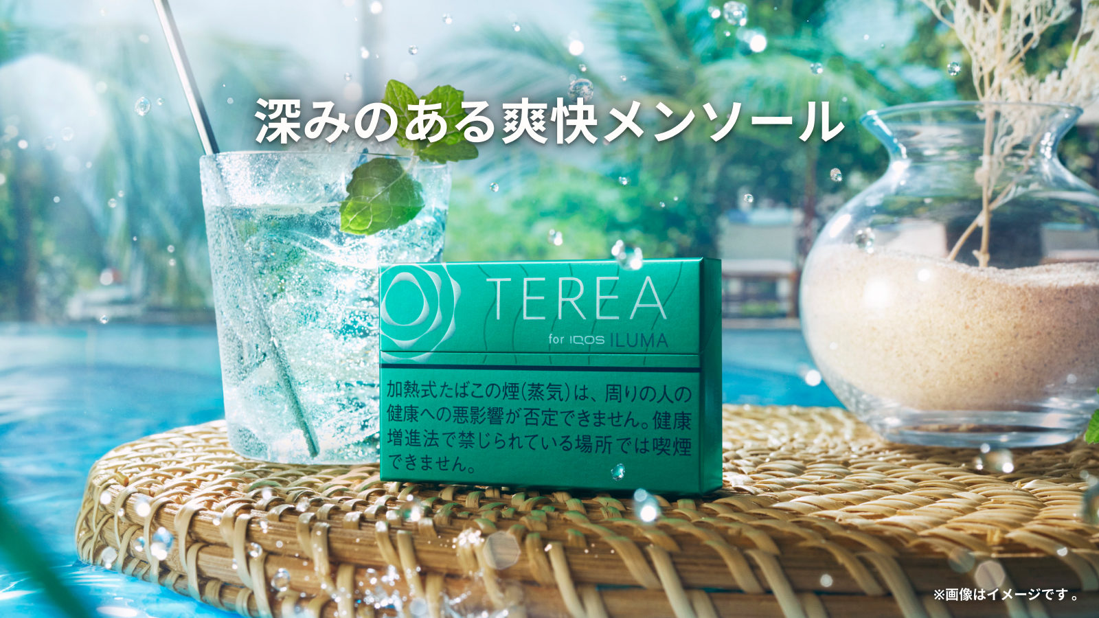 テリア メンソール