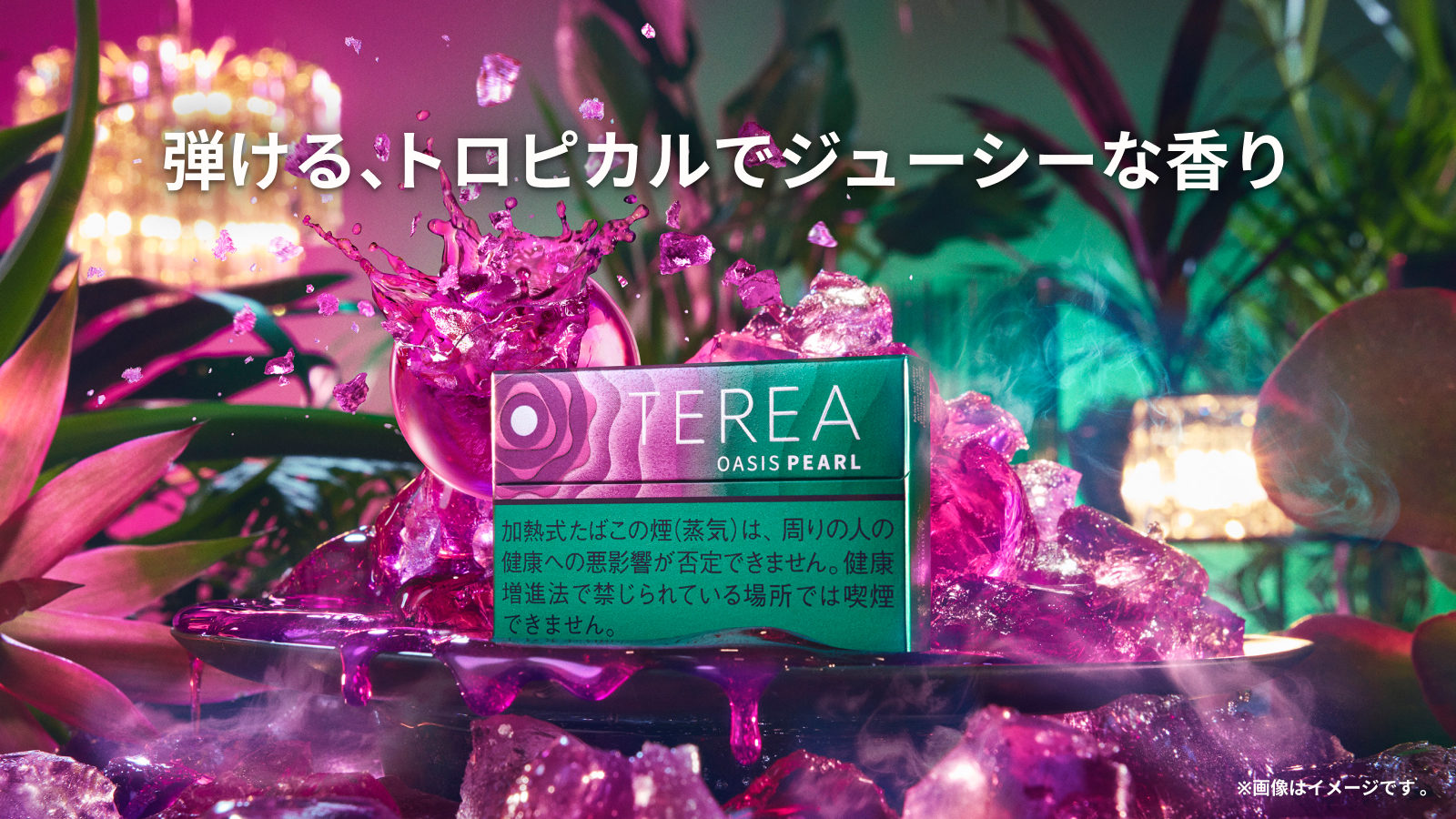 テリア オアシス パール