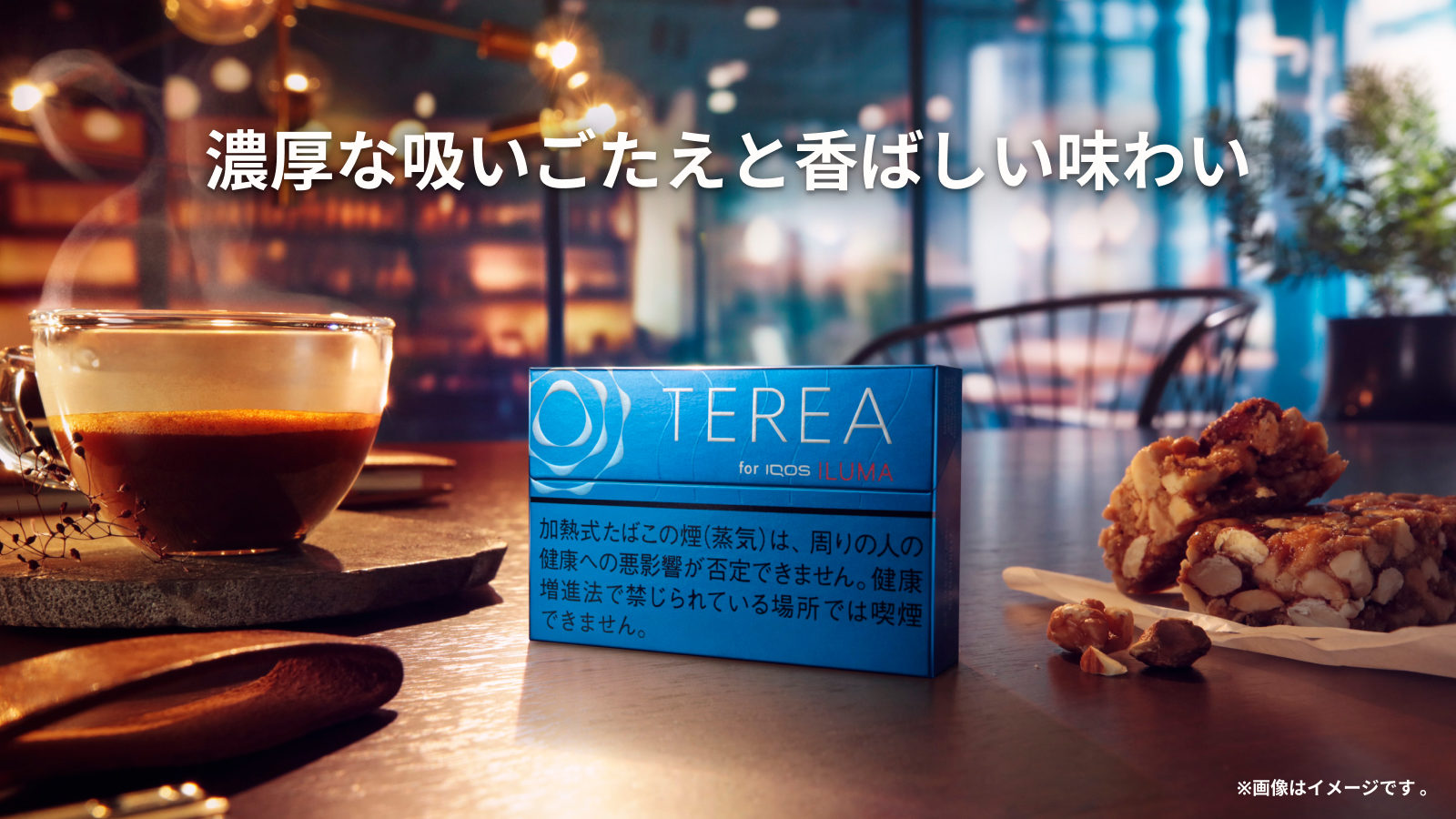 テリア レギュラー