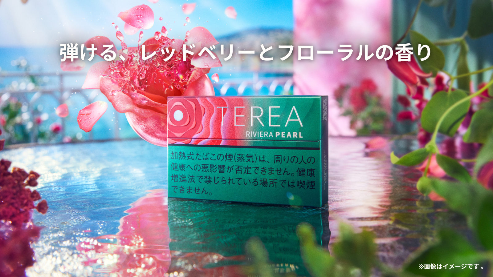 テリア リビエラ パール