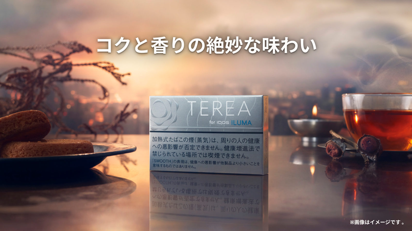 テリア スムース レギュラー