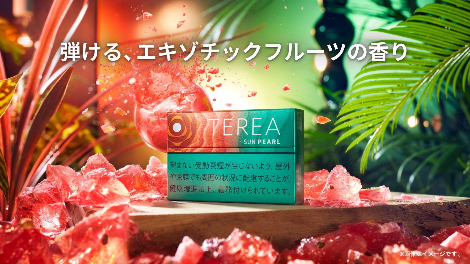 テリア サン パール