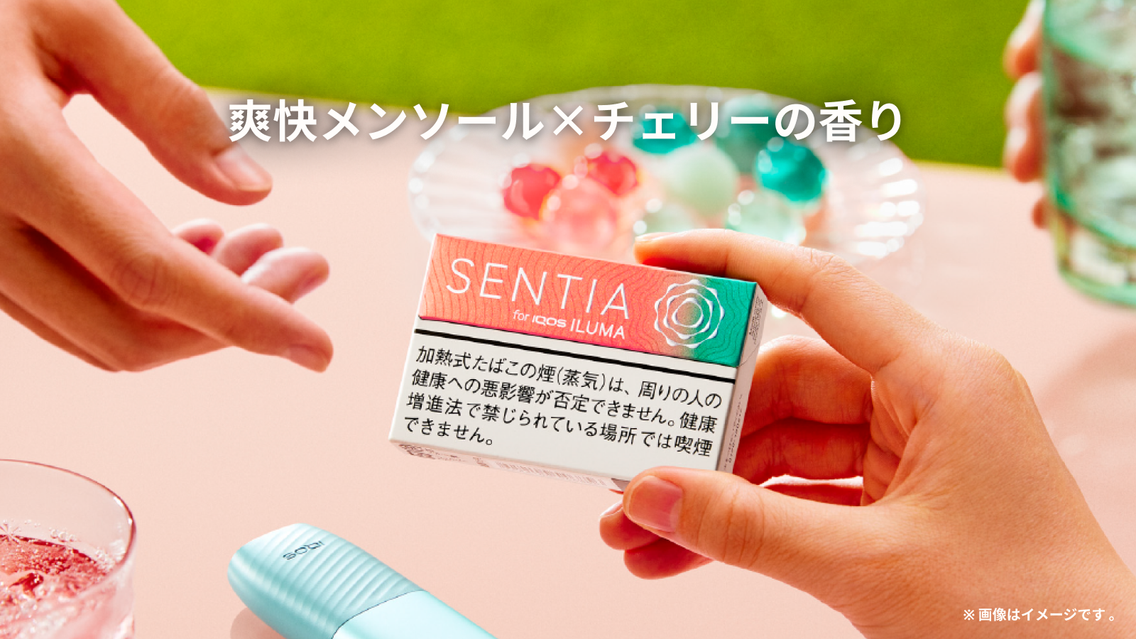 センティアフレッシュコーラル