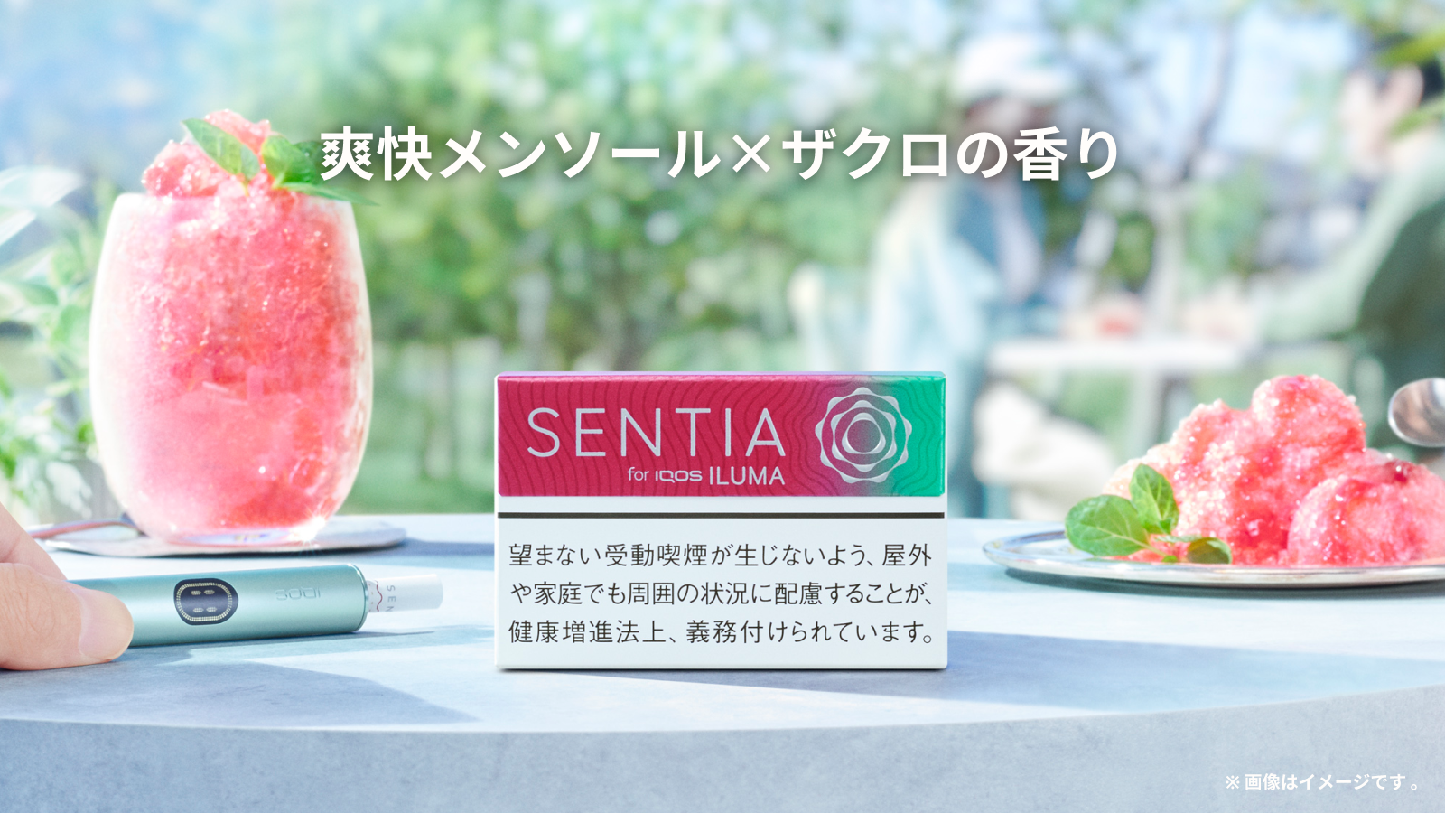 センティアジューシーレッド
