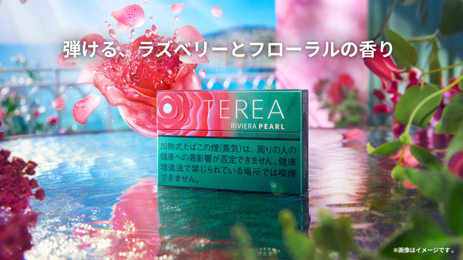 テリアリビエラパール