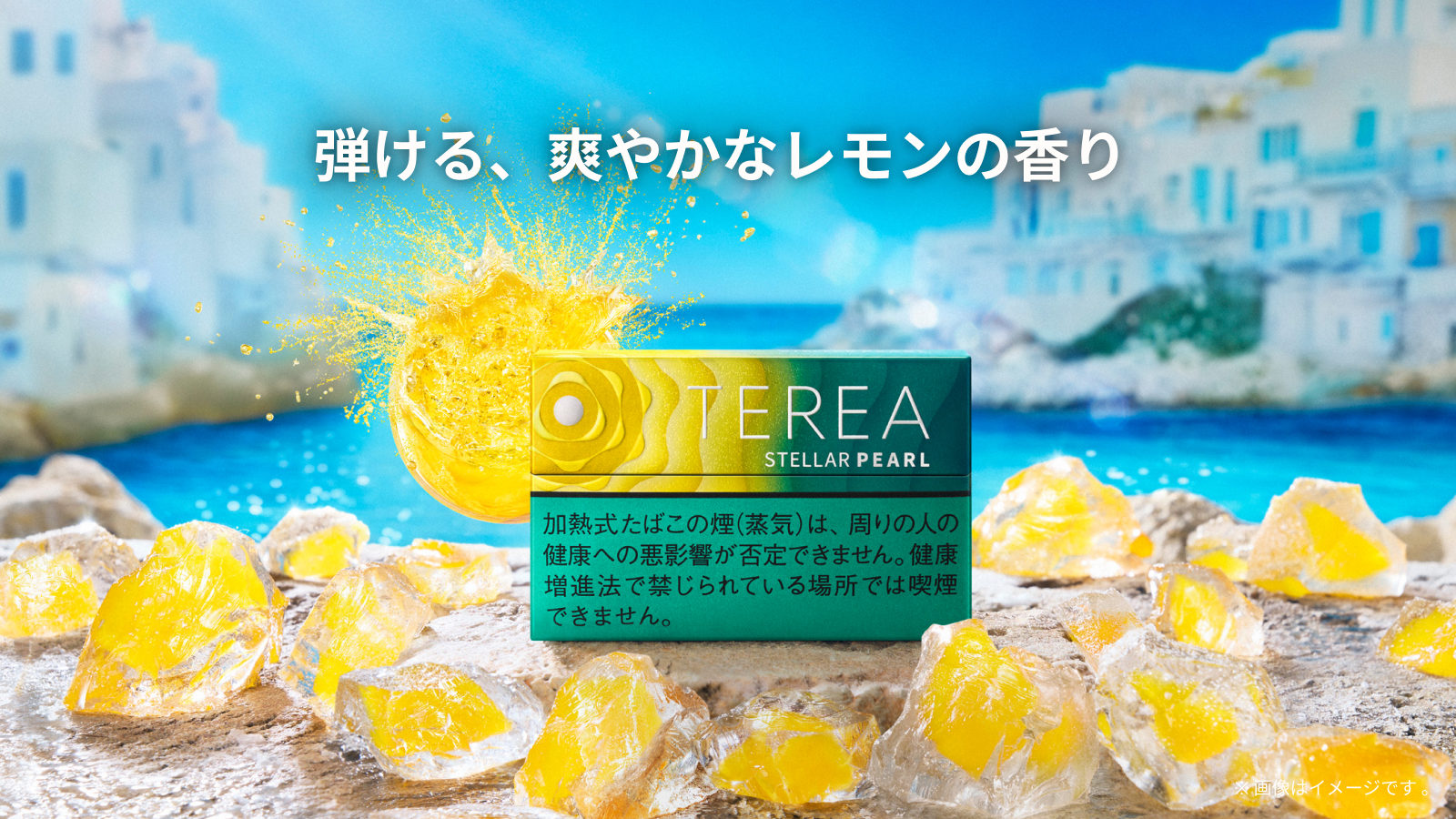 テリア ステラー パール