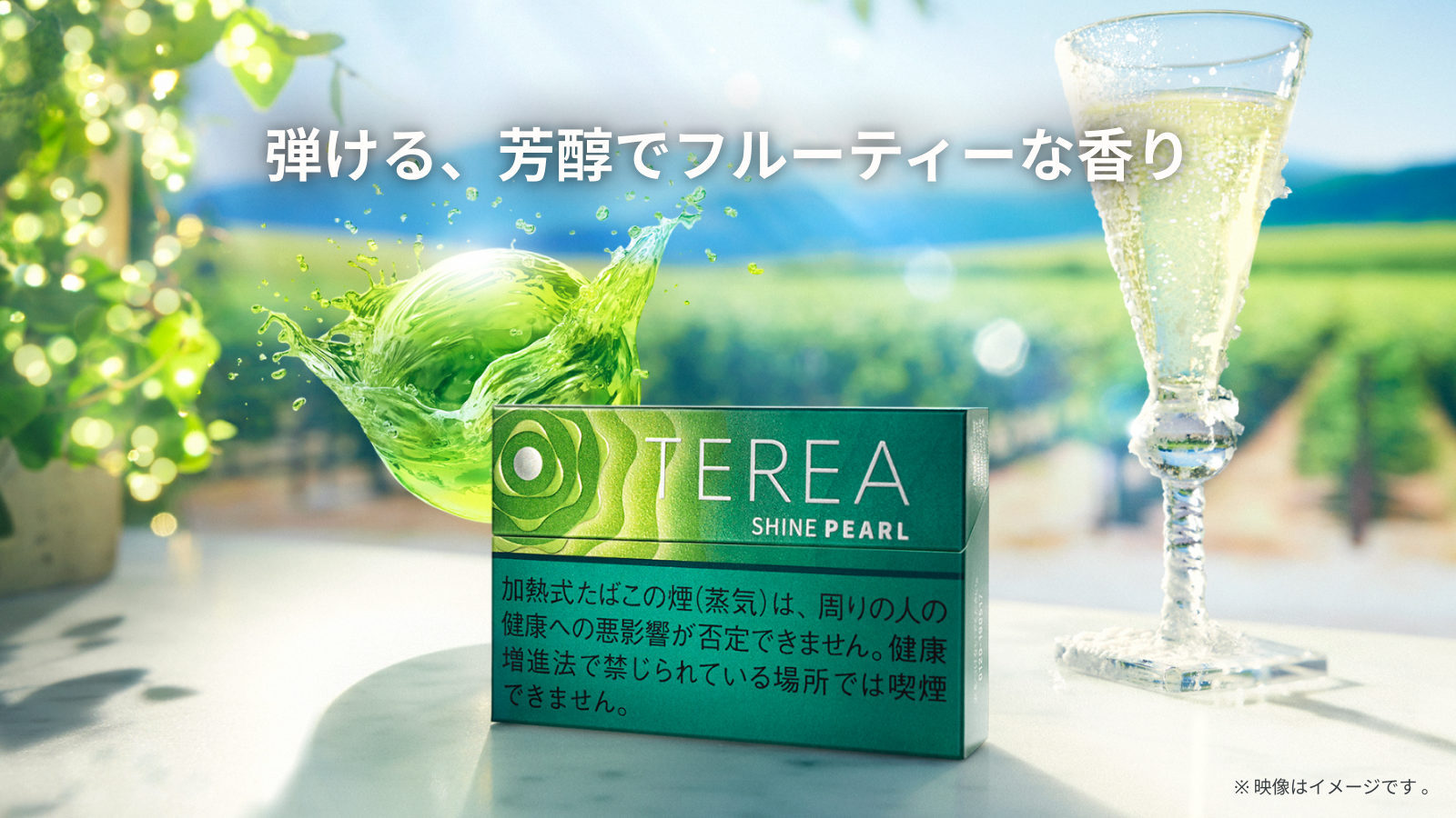 テリア シャイン パール