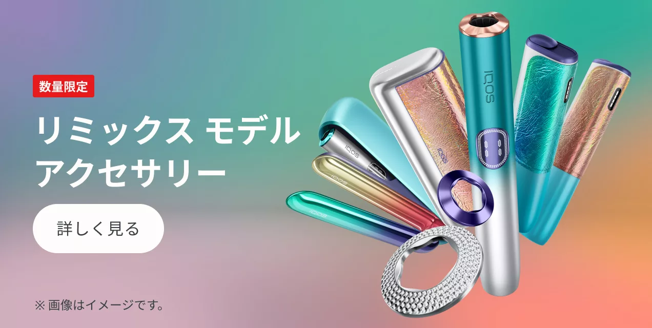 リミックス モデル アクセサリー