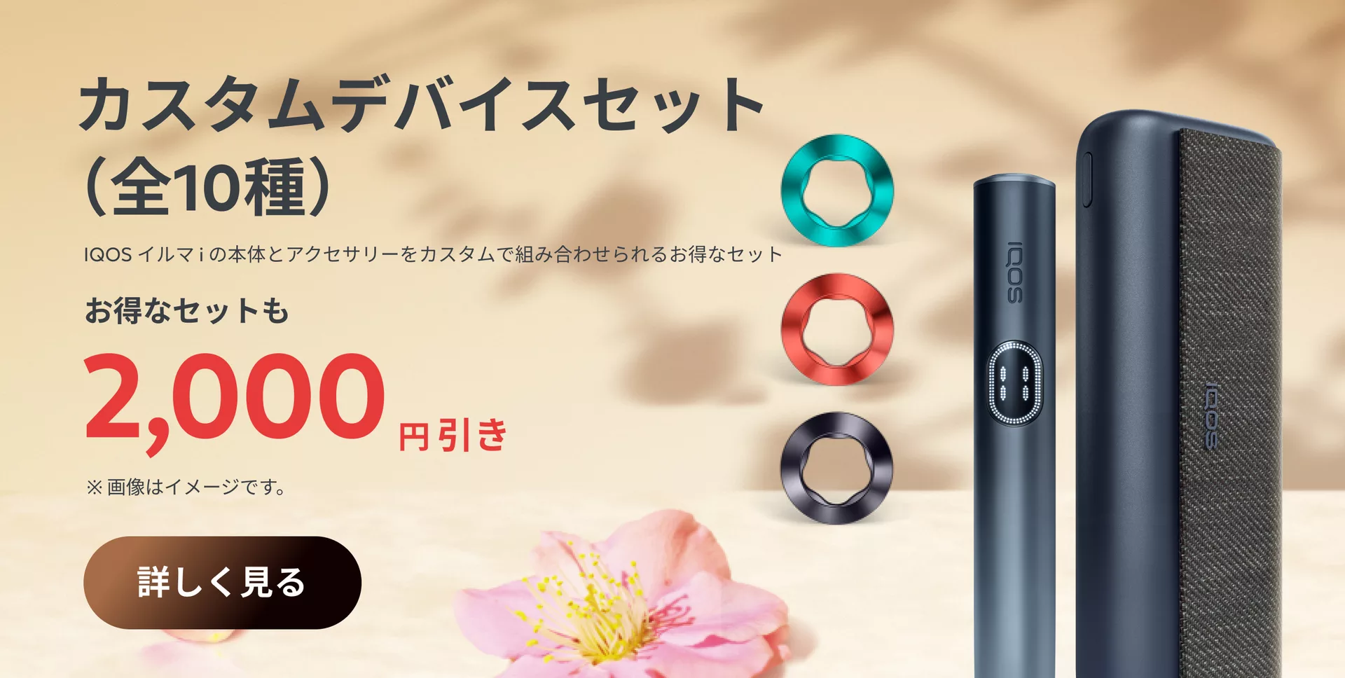 January Promo 2026 Bundles