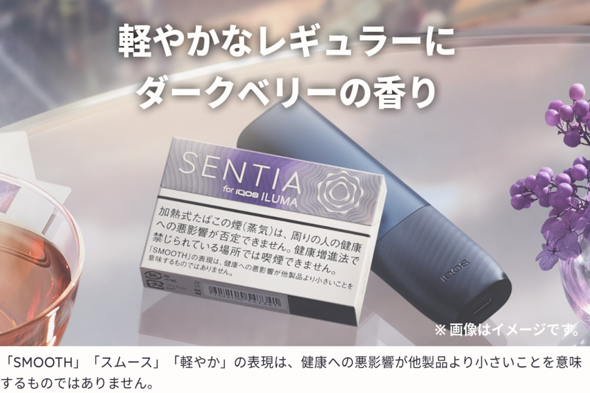 センティア スムース バイオレット