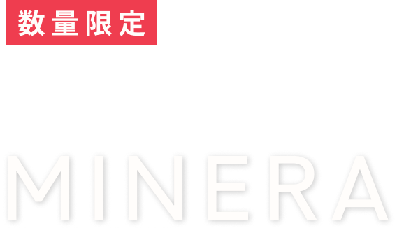 数量限定